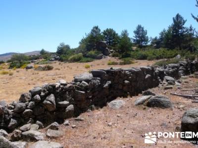 Pinar de Canencia y Mina de Plata del Indiano; material trekking; viajes marzo